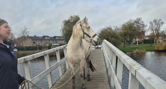 Wandelen brengt ons veel plezier dus gaan we verder in deel 4