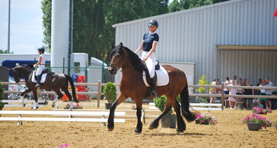 Alleerste B1 dressuur met Baron