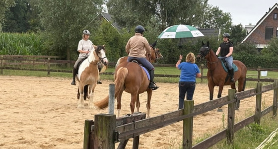 Schriktraining met Fiesta aka Feestje