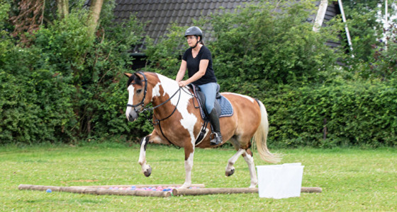 Schriktraining met mijn nieuwe pony van 160cm
