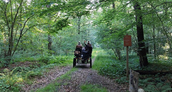 Gezocht: leuke rit met menwagen