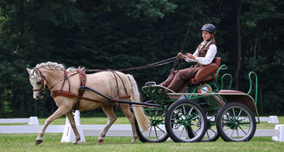 Freya de prinses mijn steun en toeverlaat