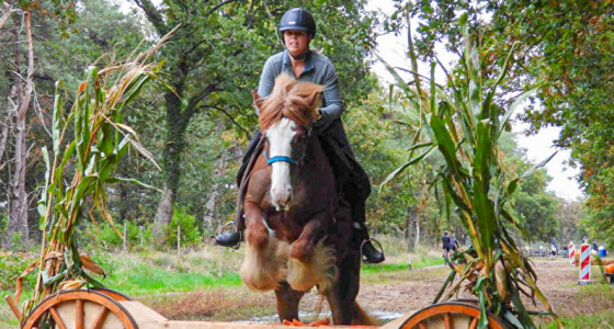 EJL-ITP Weer een jaar over bos, heide en hindernissen met Lilly