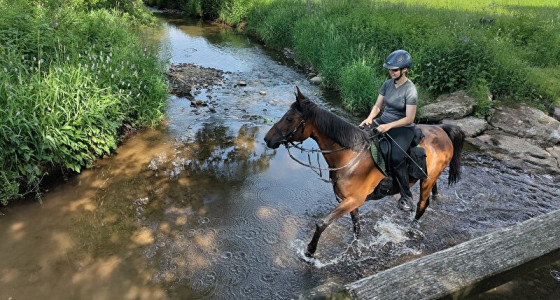 Trektocht door de (belgische) Eiffel