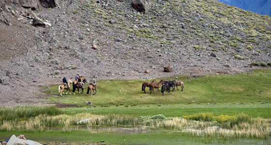 [FOTO]Dineren met gauchos in de Andes