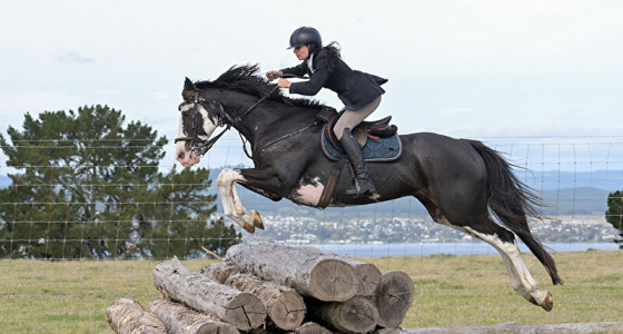 Het Nieuw Zeelandse Jachtseizoen is begonnen